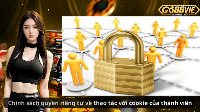 Chính sách quyền riêng tư về thao tác với cookie của thành viên