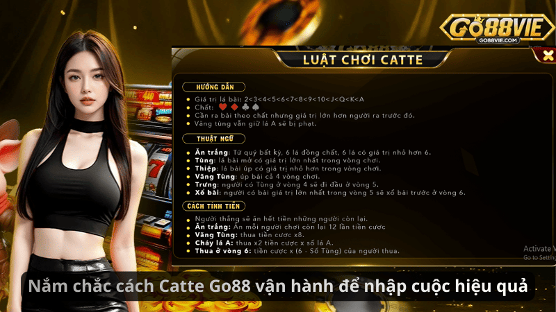 Nắm chắc cách Catte Go88 vận hành để nhập cuộc hiệu quả
