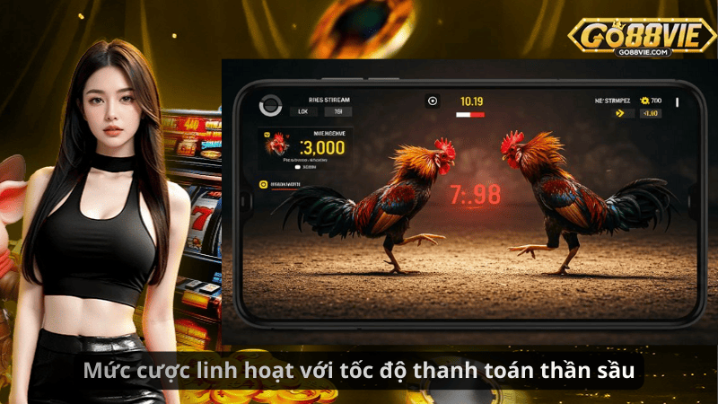 Mức cược linh hoạt với tốc độ thanh toán thần sầu